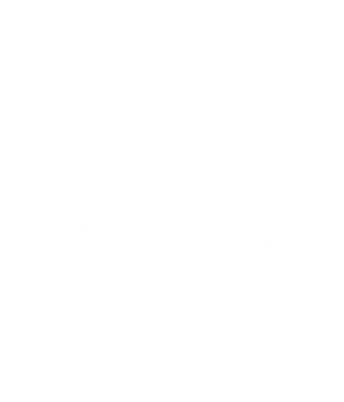 Clay Bird Pick Up